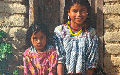 Los planes ambientales institucionales en la educación superior en México: construyendo sentidos de sustentabilidad (2002-2007)